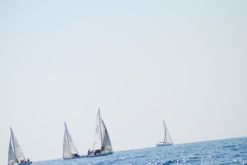 dsc_0576.jpg