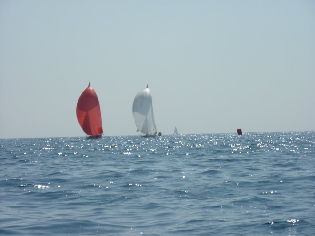p1010177.jpg