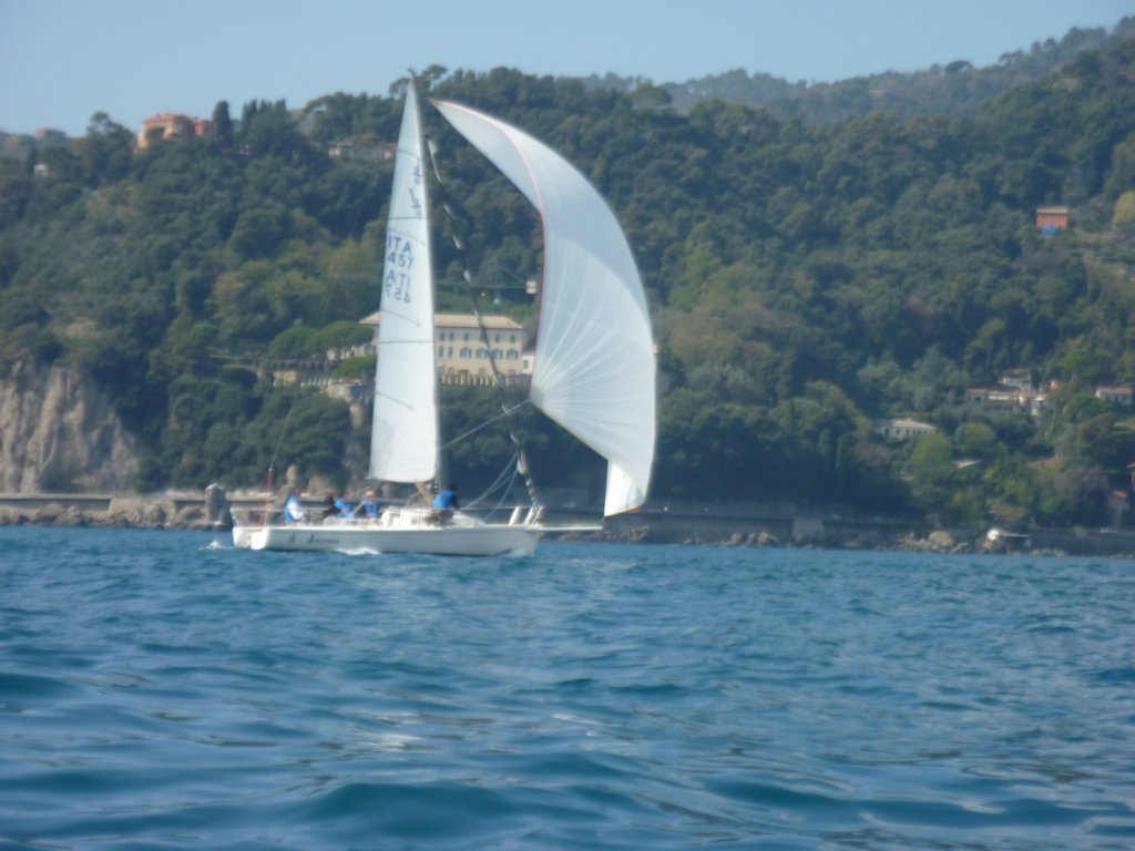 p1010189.jpg