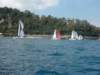 p1010198_small.jpg