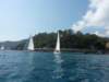 p1010231_small.jpg
