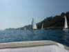 p1010232_small.jpg