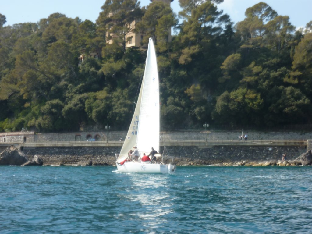 p1010233.jpg