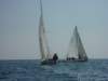 p1010236_small.jpg