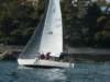 p1010237_small.jpg