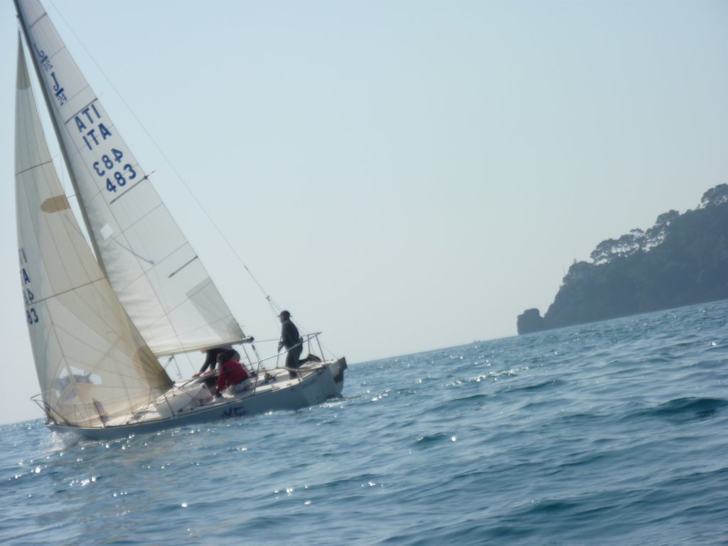p1010248.jpg