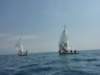 p1010264_small.jpg