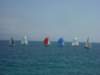 p1010282_small.jpg