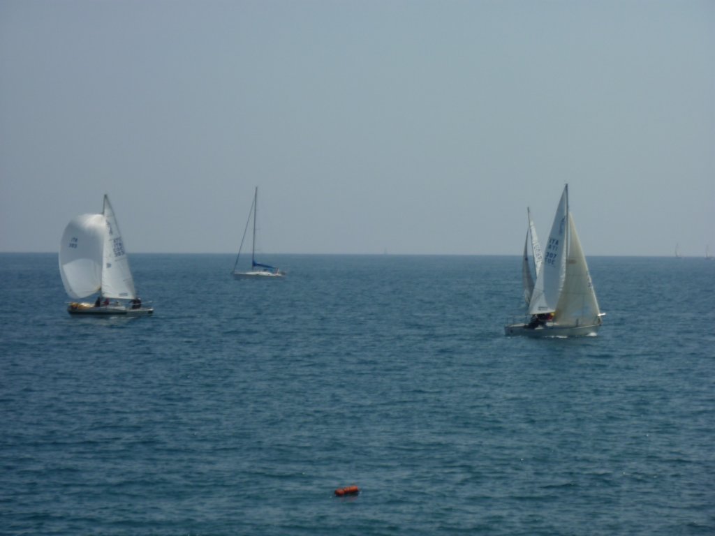 p1010285.jpg