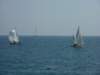 p1010285_small.jpg
