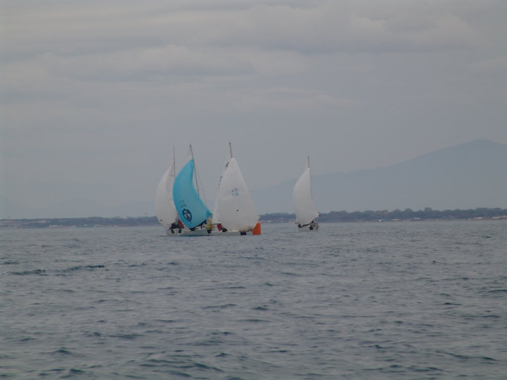 dsc00199.jpg