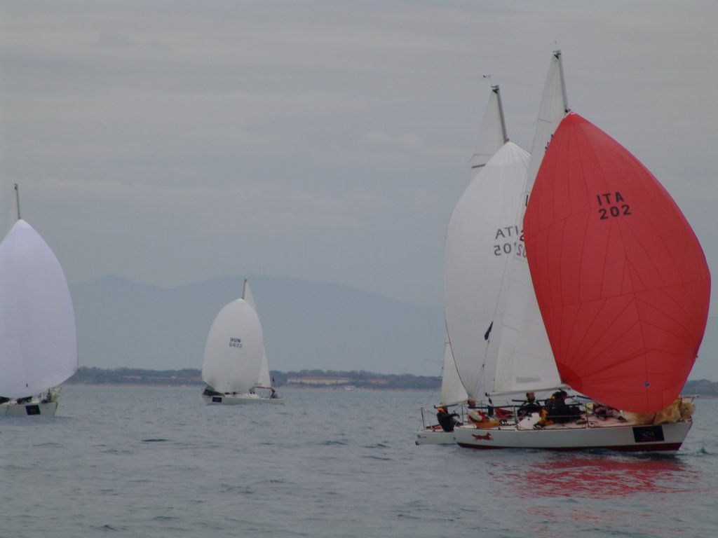 dsc00230.jpg