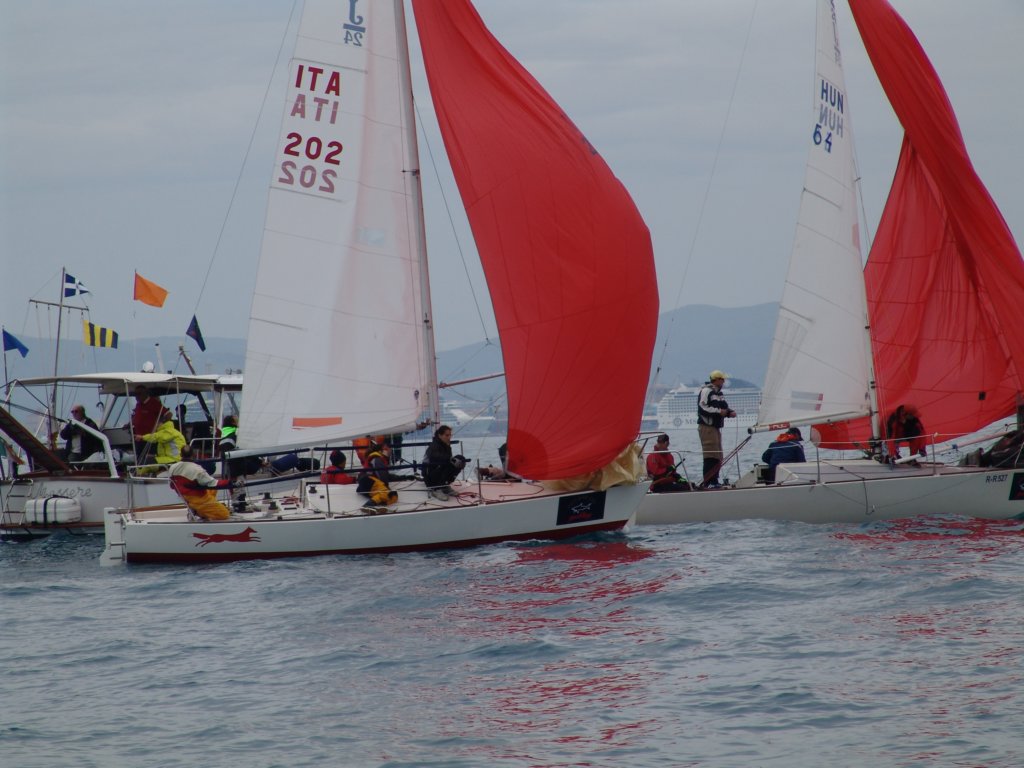 dsc00239.jpg