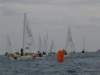 dsc00259_small.jpg