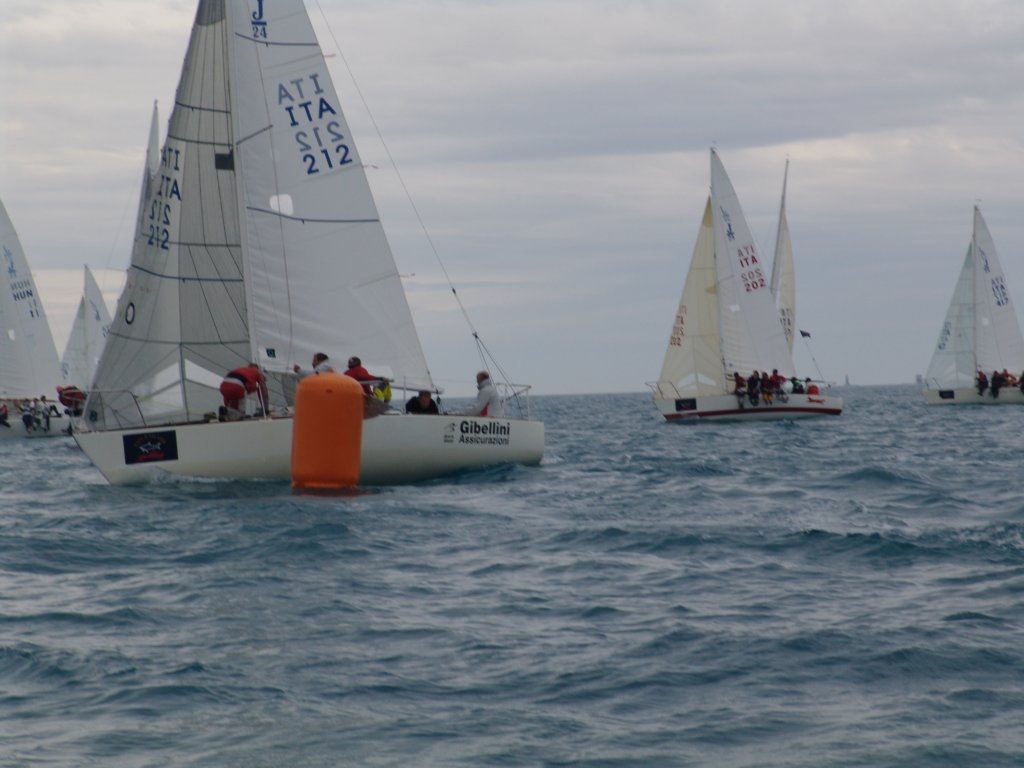 dsc00305.jpg