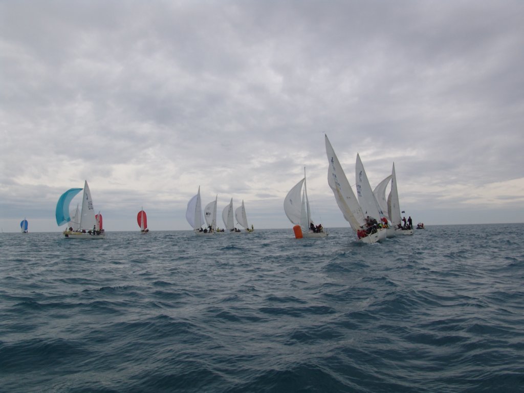 dsc00335.jpg