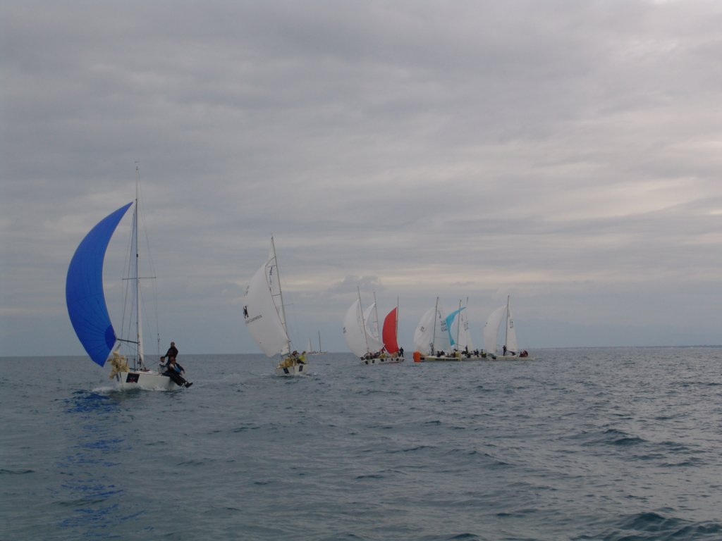 dsc00410.jpg
