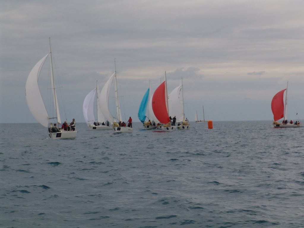 dsc00413.jpg