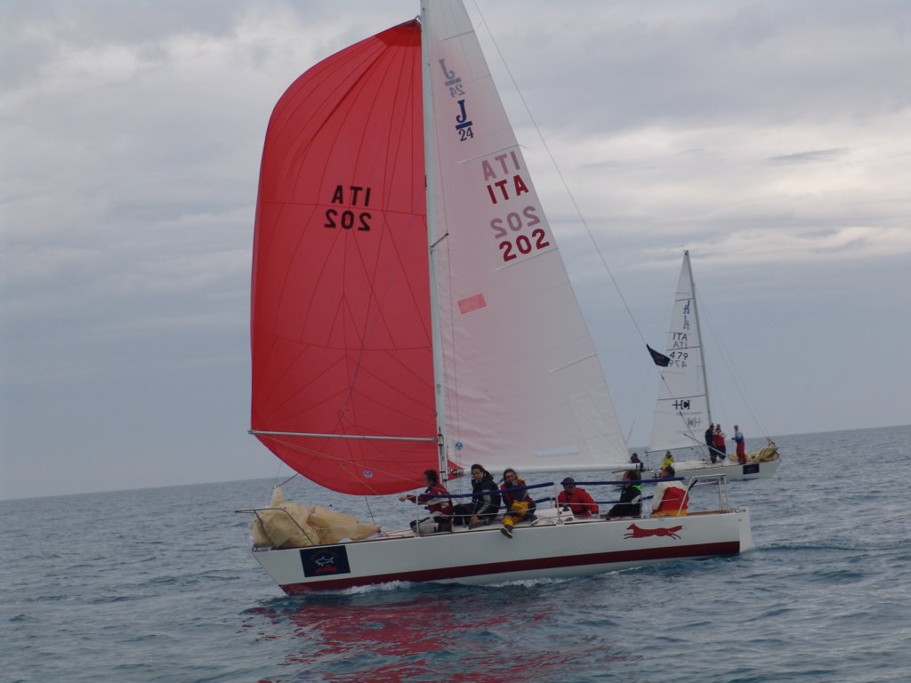 dsc00424.jpg