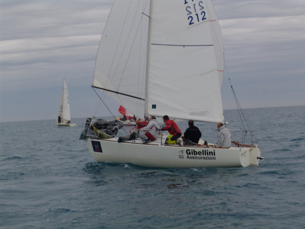 dsc00428.jpg