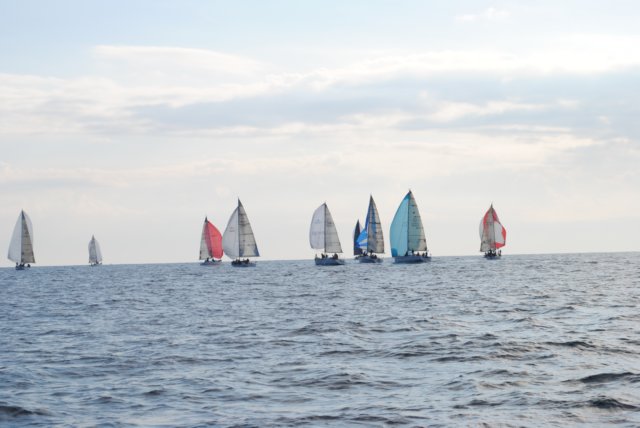 dsc_0065.jpg