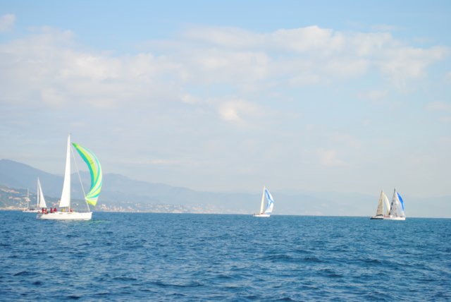 dsc_0100.jpg
