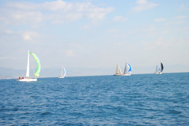 dsc_0101.jpg