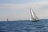 dsc_0111_small.jpg