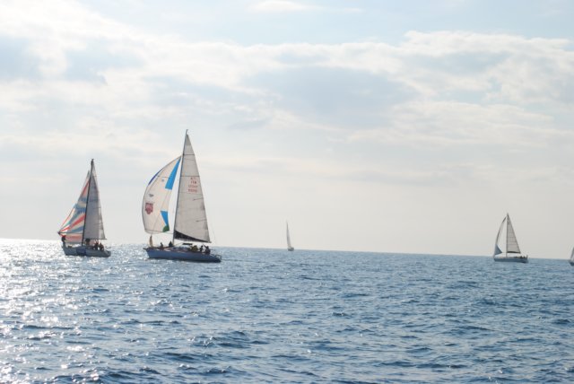 dsc_0113.jpg