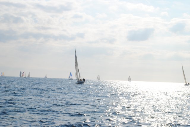 dsc_0123.jpg