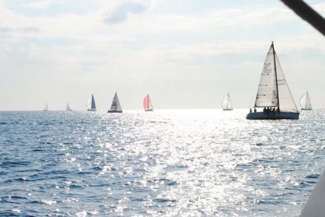 dsc_0156.jpg