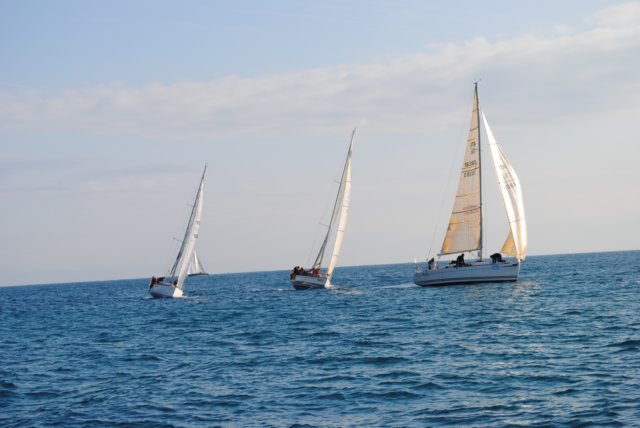 dsc_0161.jpg