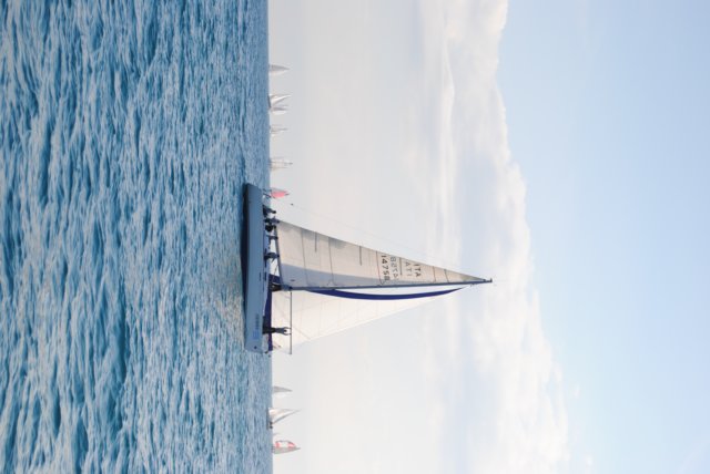 dsc_0173.jpg