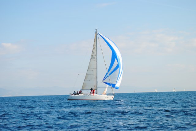 dsc_0204.jpg