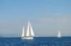 dsc_0206_small.jpg