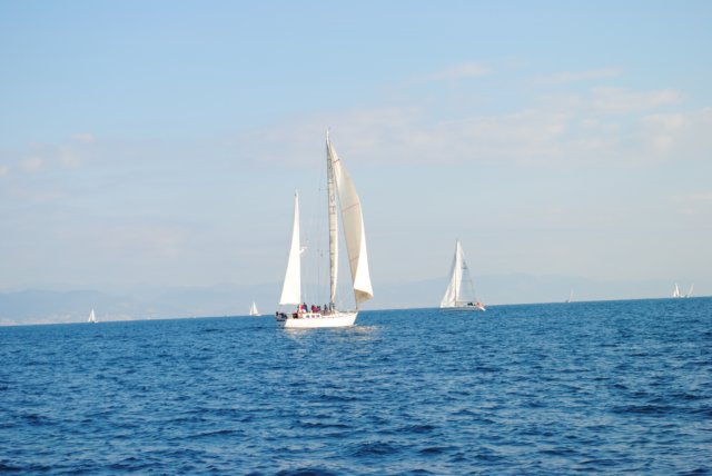 dsc_0207.jpg