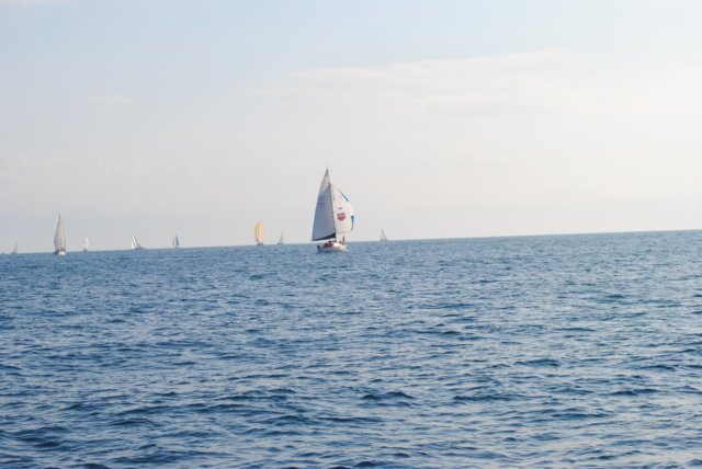 dsc_0209.jpg