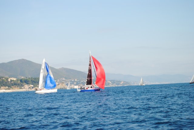 dsc_0230.jpg