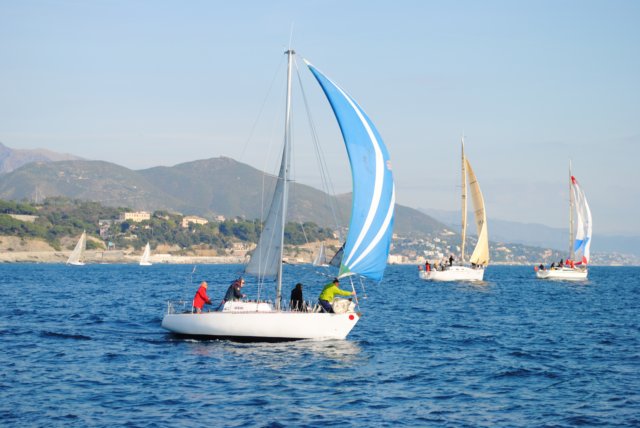 dsc_0236.jpg