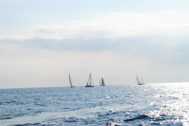 dsc_0311.jpg