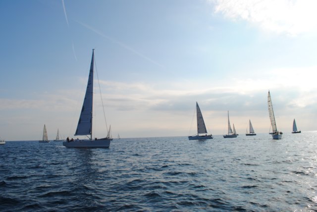 dsc_0349.jpg
