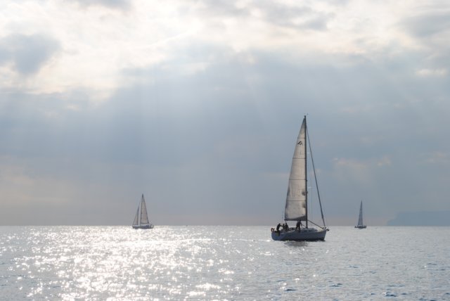 dsc_0383.jpg