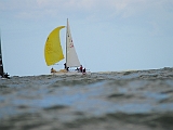DSC 0839