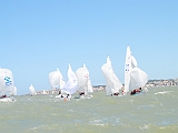DSC 1141
