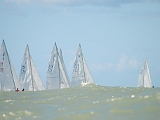 DSC 1153