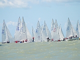 DSC 1155