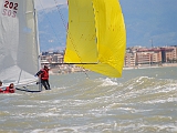 DSC 1356